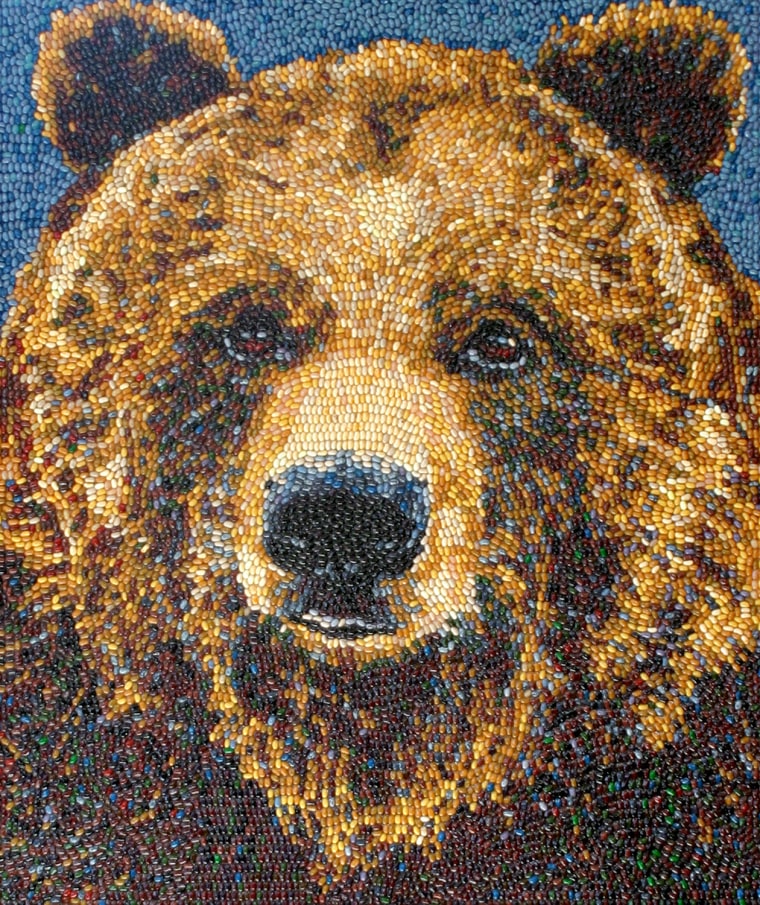 The Grizzly Bear adorns the California State Flag and is the inspiration for University of California Golden Bears. The majestic creature known for its strength and speed is an enduring symbol of the State's earliest days when settlers and bears shared the wilderness. The portrait uses several different Jelly Belly jelly bean flavors, including Chocolate Pudding, Licorice, Plum and Buttered Popcorn.